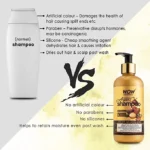 WOW Skin Science Moroccan Argan Oil Shampoo, 500 ml