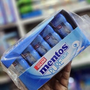Mentos Pocket Bottle Fresh Mint 29g (1 Outer X 10Pcs)