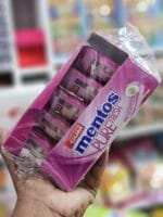 Mentos Pocket Bottle Berry Lime 29g (1 Outer X 10Pcs)