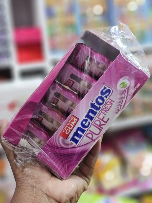Mentos Pocket Bottle Berry Lime 29g (1 Outer X 10Pcs)