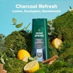 Irish Spring Charcoal Refresh Body Wash 591ml
