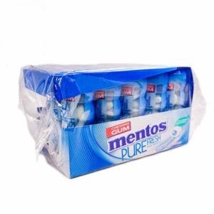 Mentos Pocket Bottle Fresh Mint 29g (1 Outer X 10Pcs)