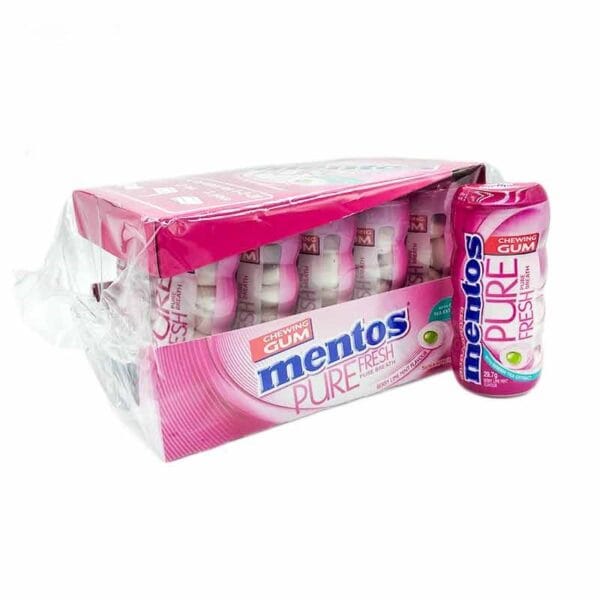 Mentos Pocket Bottle Berry Lime 29g (1 Outer X 10Pcs)