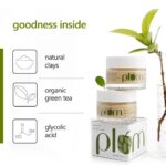 Plum Green Tea Face Mask with Bentonite Clay & Glycolic Acid for Oily & Acne-Prone Skin, Night Skincare, 60g